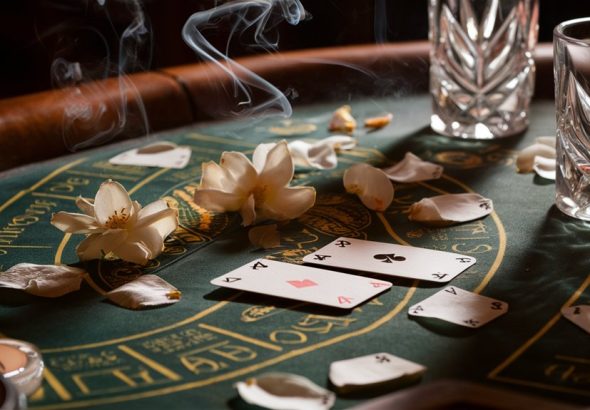 smoky gambling plant freedom